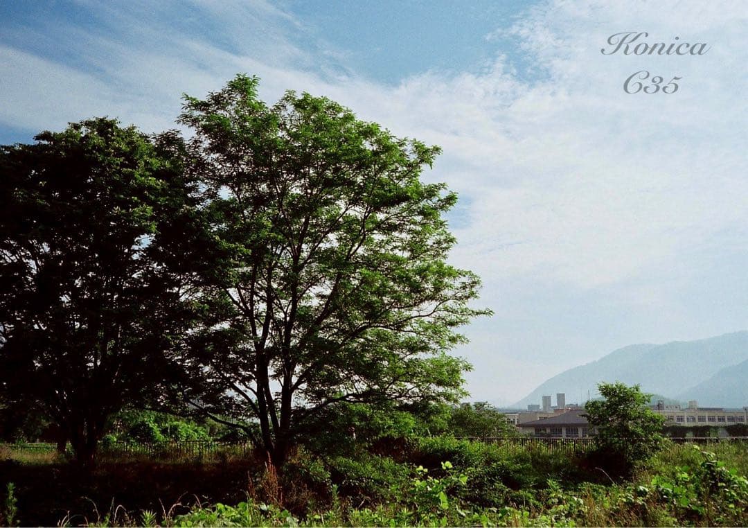 ★希少・完動品★konica c35★本革外装＊美品＊初期保証★フィルム入門に！