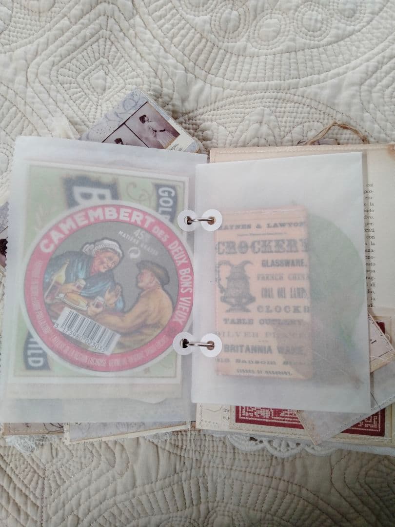 ジャンクジャーナル Lady Memoir