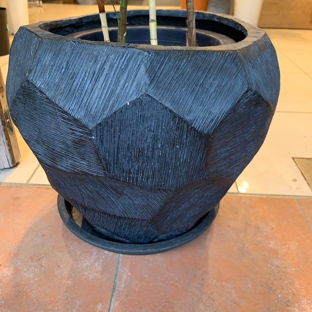 シュロチク 棕櫚竹 ファイバー鉢 お皿付き