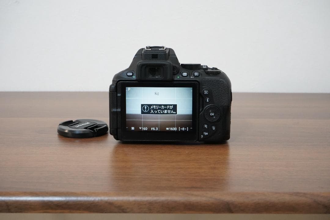 【ショット数3509枚】Nikon D5600 標準レンズ＋バッテリー2個付き