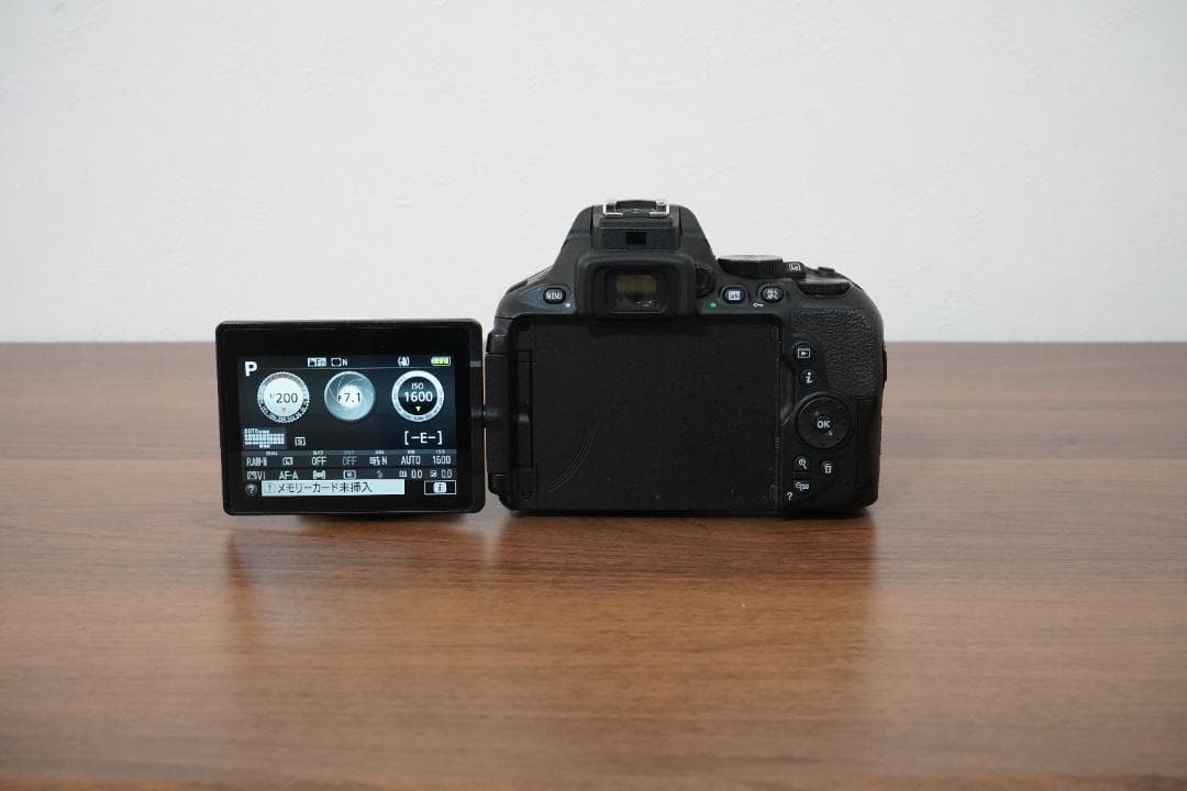 【ショット数3509枚】Nikon D5600 標準レンズ＋バッテリー2個付き