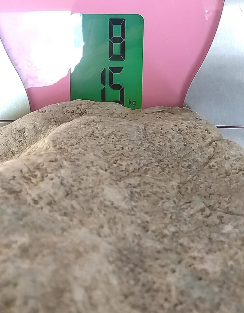 ★翡翠原石★糸魚川硬玉【横川・転石・1面カット8.15kg】