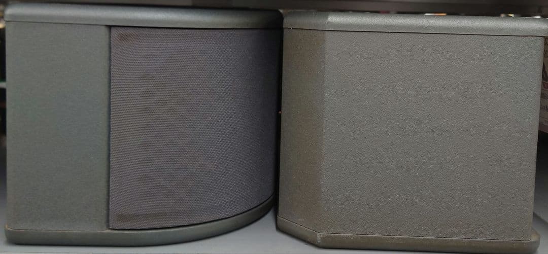 ■■【レア】BOSE 300PM LOUDSPEAKER スピーカー・ペア