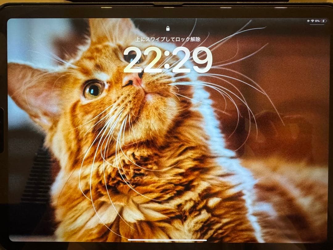 iPad Pro 11インチ 第3世代