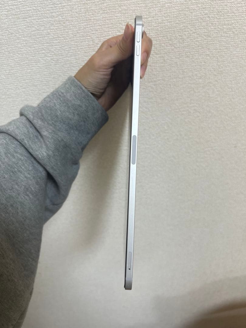 iPadPro11インチ 第1世代 256GB Wi-Fi+Cellular