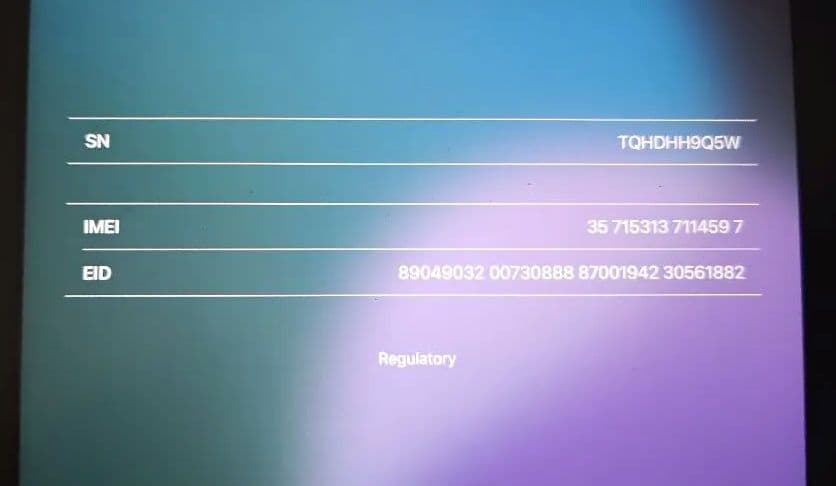 極美品 iPad mini（A17 Pro）セルラーモデル パープル 128GB