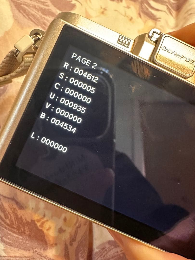 OLYMPUS E-PL8 ミラーレス ダブルレンズ 持ち運び用ポーチ付き