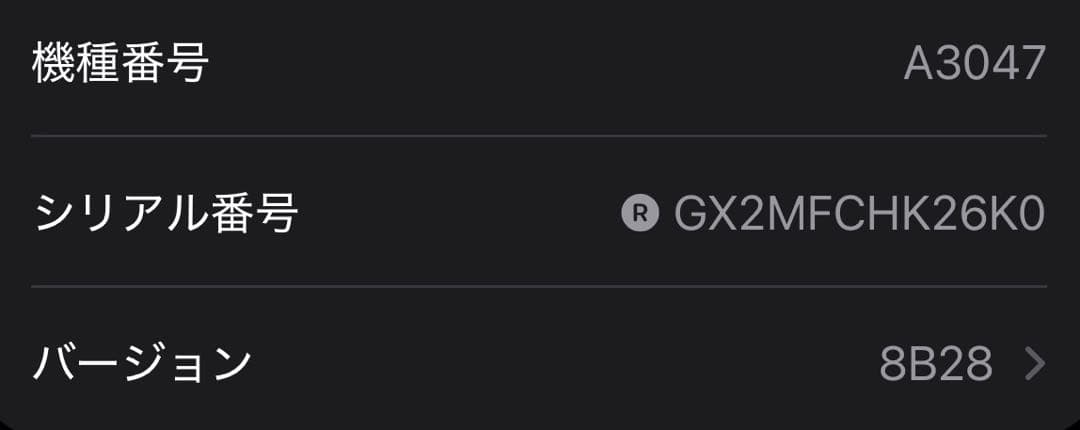 Apple AirPods Pro（第2世代）USB-C