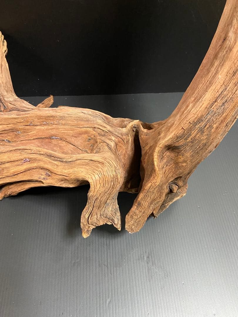 流木　大型　ホーンウッド　アクアリウム用
