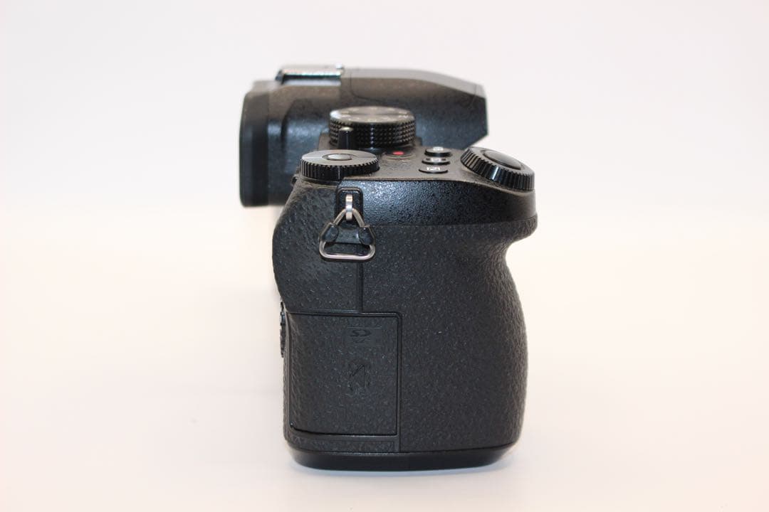 ★ショット数9289回★ LUMIX DC-G99 ボディ　ミラーレス