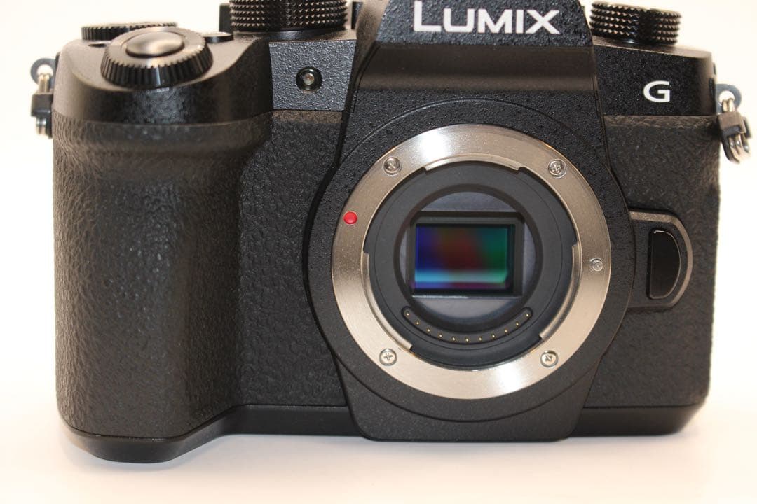 ★ショット数9289回★ LUMIX DC-G99 ボディ　ミラーレス