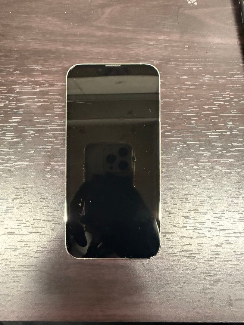 Apple iPhone 13 Pro 1TB シルバー