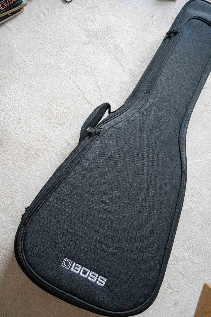 Recording King RO-G6 【美品】OOOタイプ 新品ギグバッグ