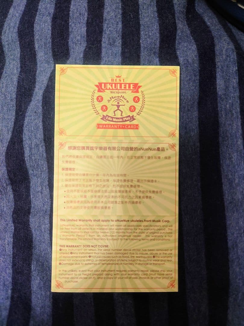 ☆aNueNue aNN-L200E 杉田健司デザイン 新品同様品 エレアコ☆