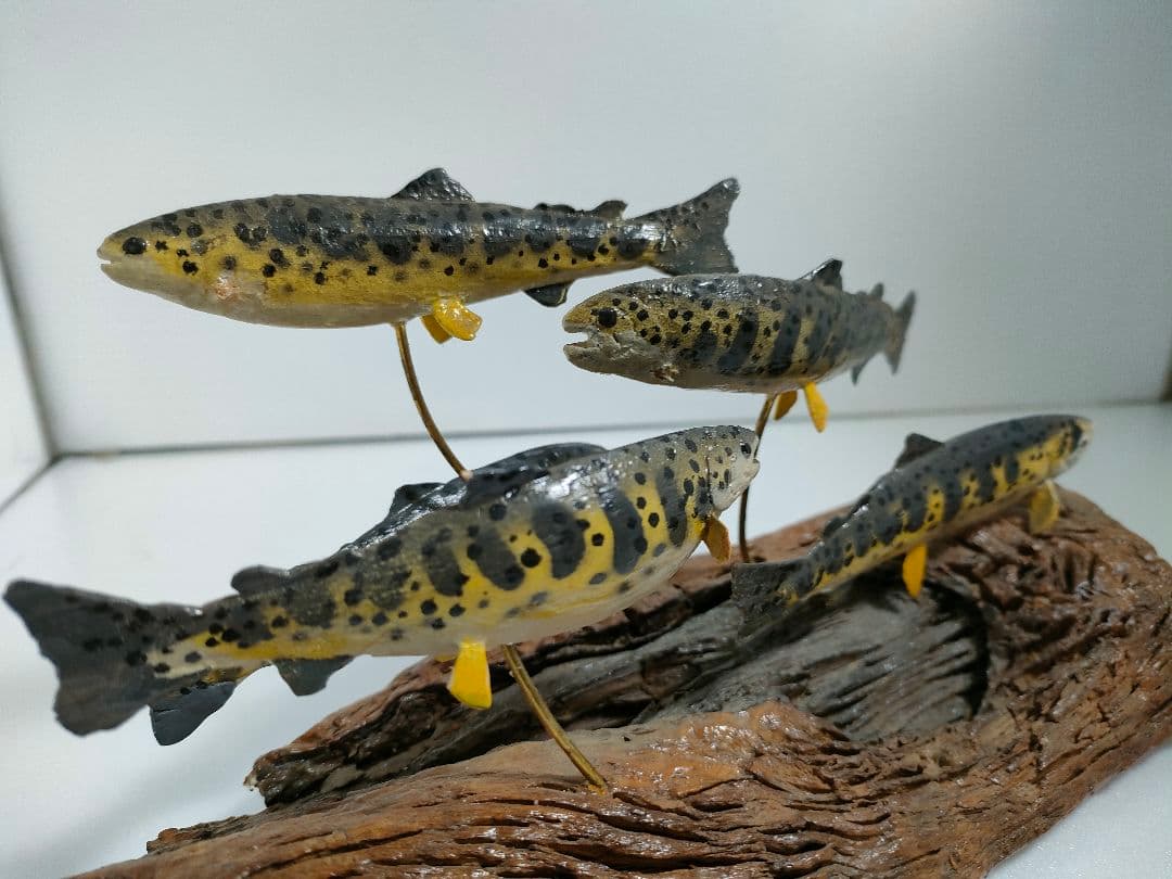 ヤマメ　ジオラマ