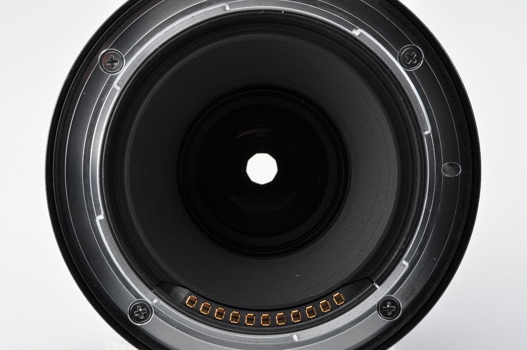 鉛*芯様 Nikon NIKKOR Z MC 50mm F2.8 #838