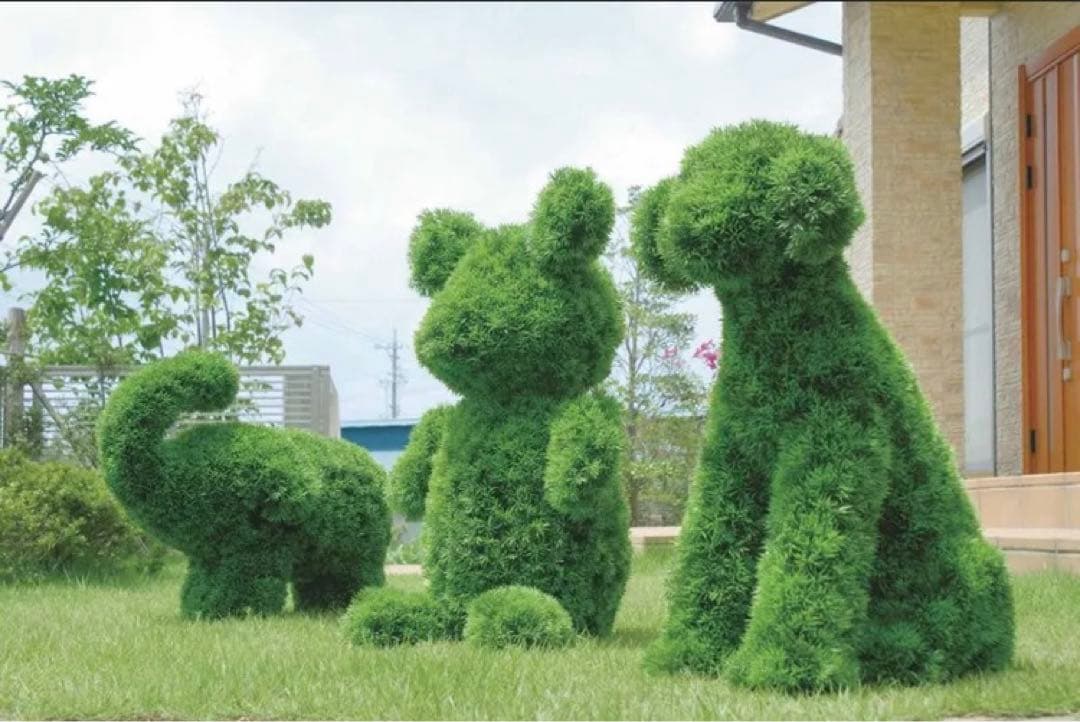 光触媒　人工観葉植物　ウォールグリーン　フェイクグリーン　ゾウs