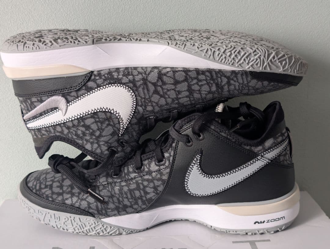 シューズ(男性用) Nike Lebron NXXT GEN 30cm