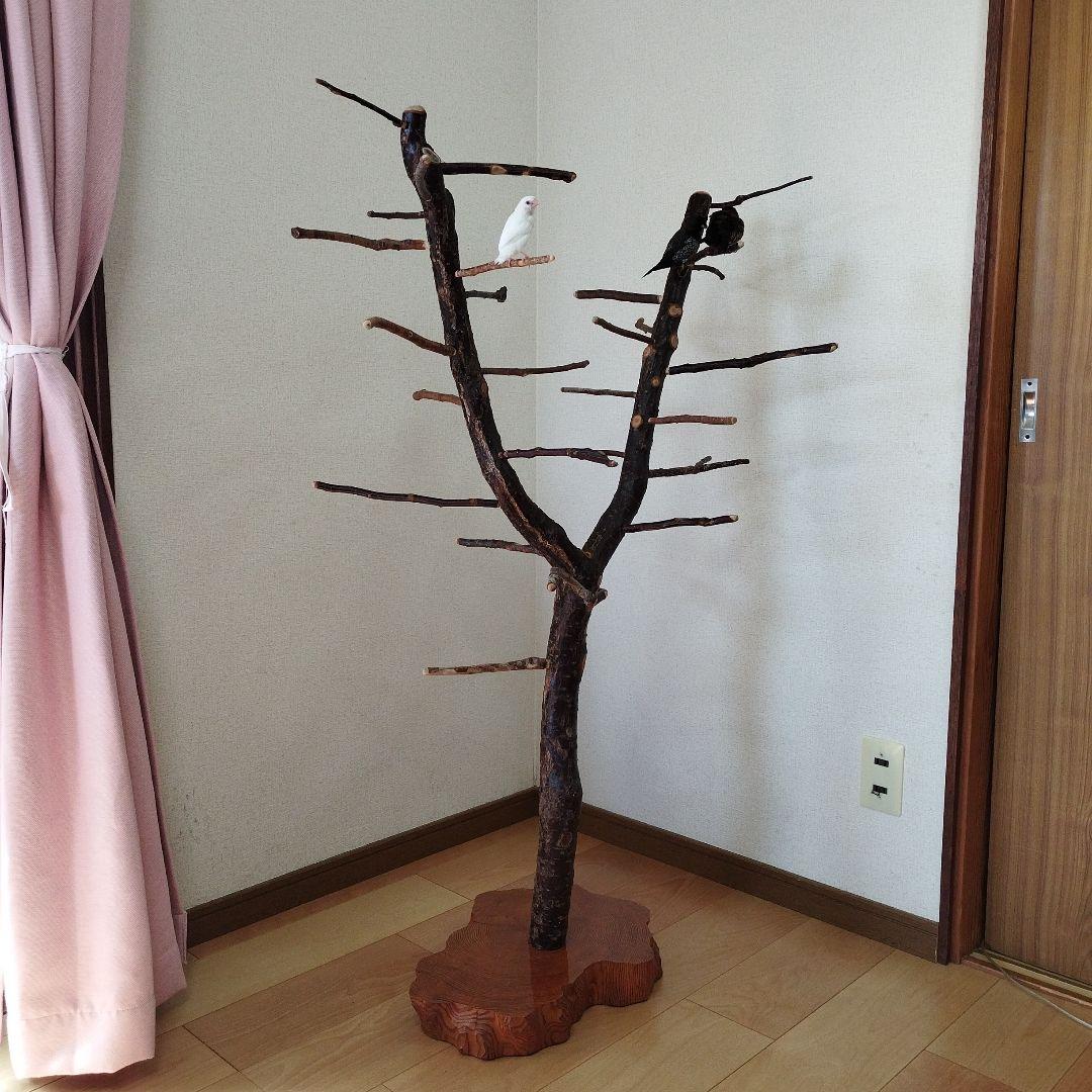 【フィンチ用】梅と桜のフィンチTree バードスタンド