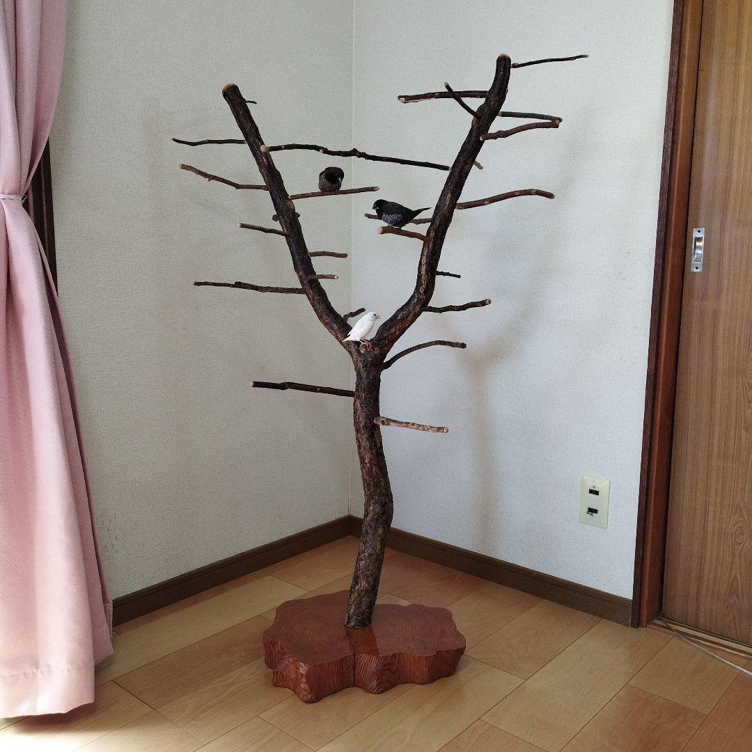 【フィンチ用】梅と桜のフィンチTree バードスタンド