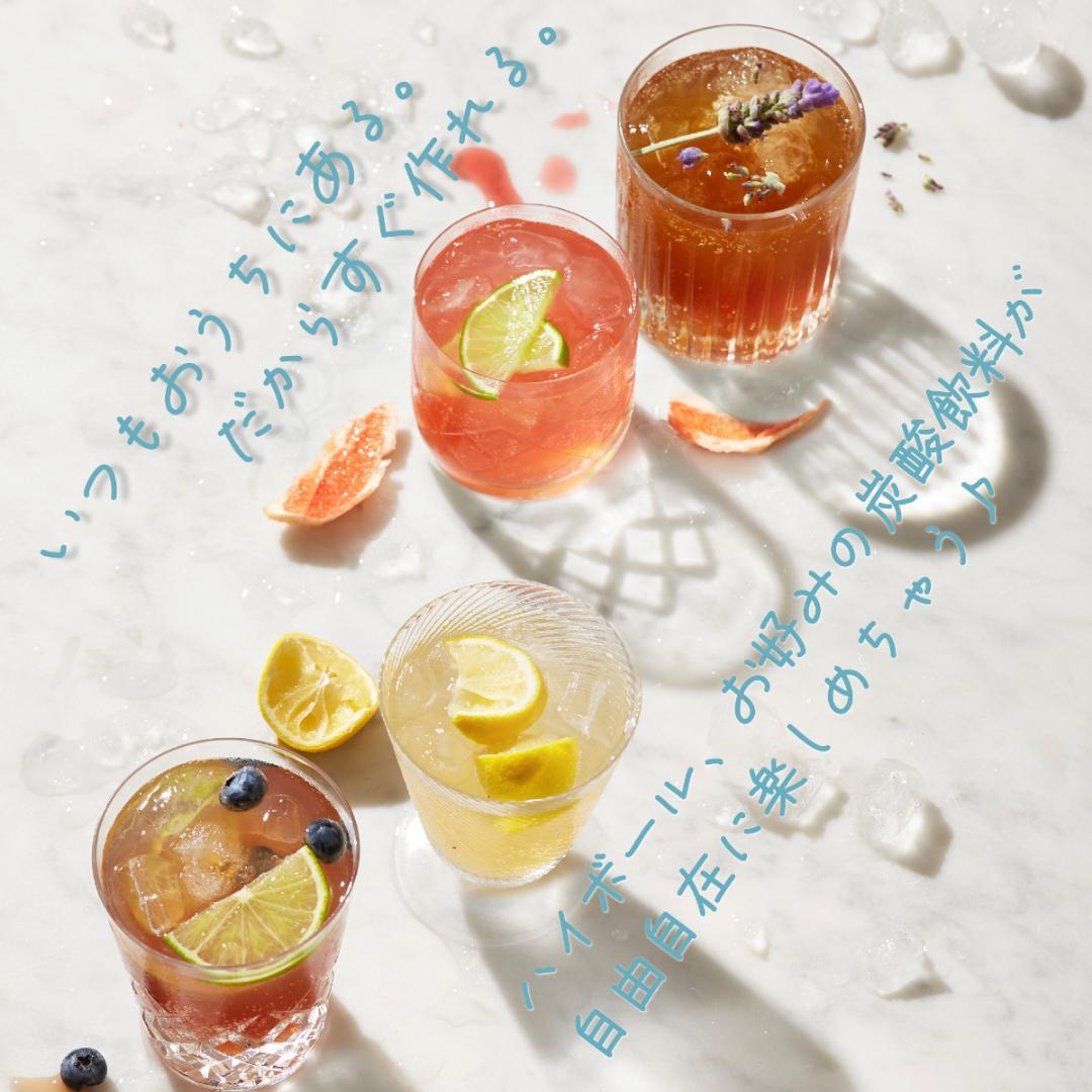 ソーダストリーム　E-TERRA　スターターキット 500mlボトル付