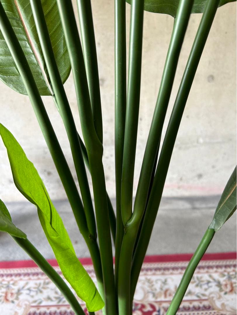 光触媒　人工観葉植物　オーガスタ　フェイクグリーン　ストレッチア155aj