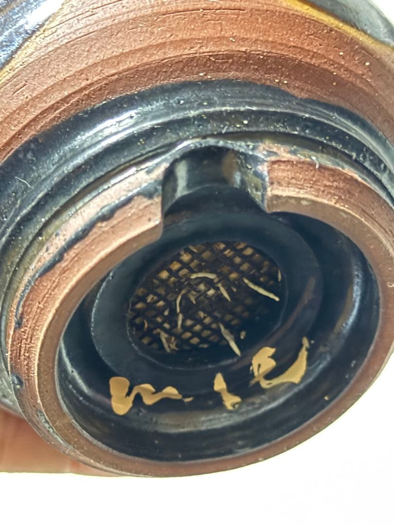 グラキリス　現地球　4年目