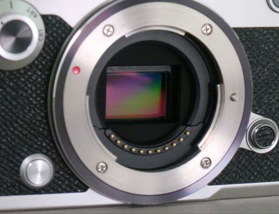 おまけ多数】OLYMPUS PEN-F シャッター回数少 充電池4個 革ケース