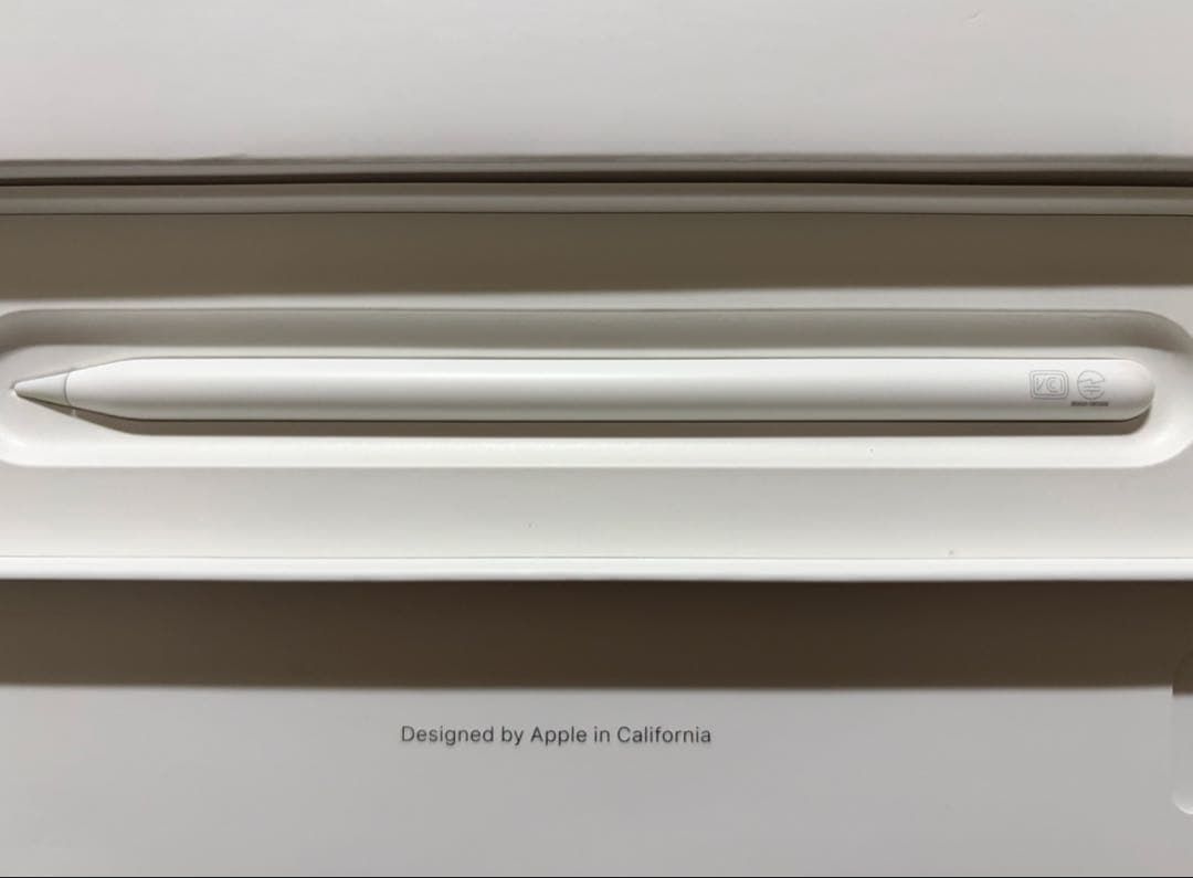 Apple Pencil (第2世代) 本体と付属品