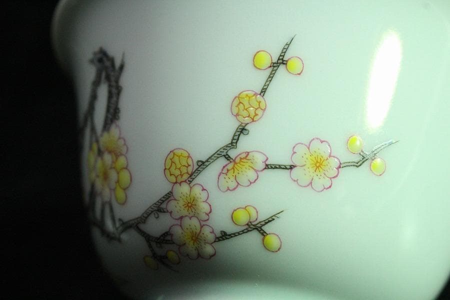 中国美術 粉彩 花鳥画 蓋碗 皿 一対(K-HA502)