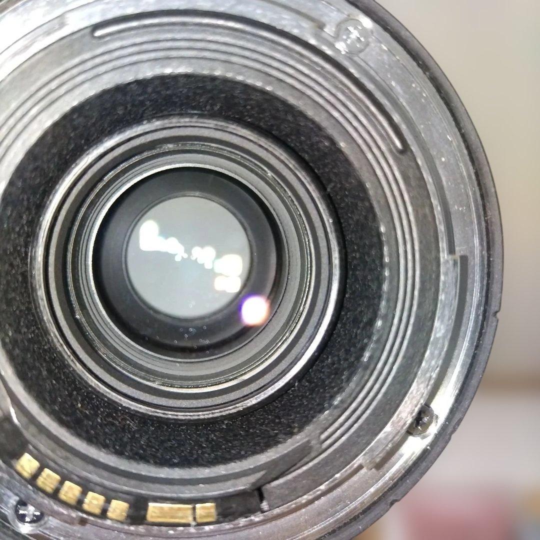 Canon EF 70-300mm F4.5-5.6L IS USM　白レンズ