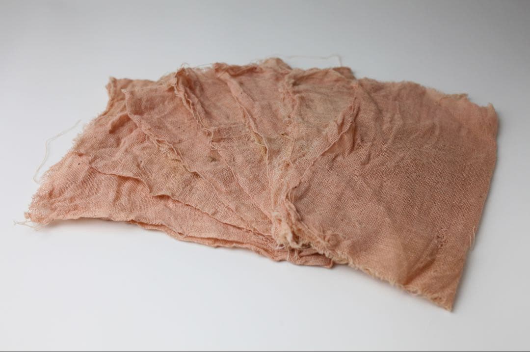 九谷焼 金城竜山 九谷竜山 金彩 赤絵秋草 煎茶器 急須 煎茶道具 煎茶碗