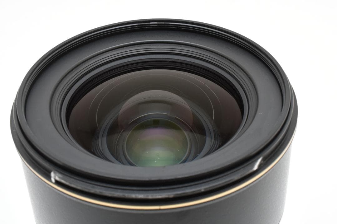 ★美品★ニコン Nikon DX 17-55mm f2.8 G #1317