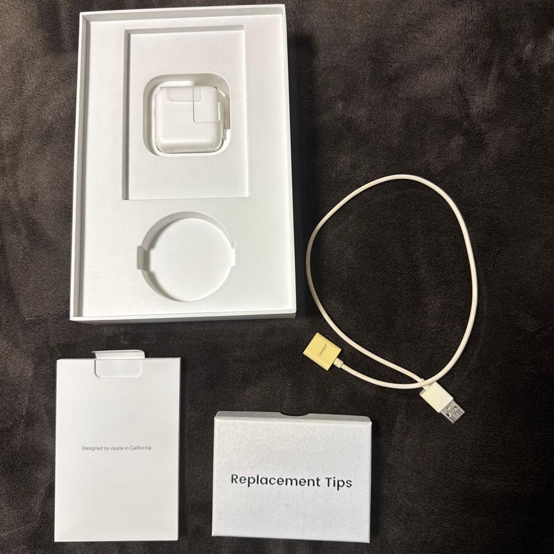 iPad mini5本体 スペースグレー Apple Pencil付き