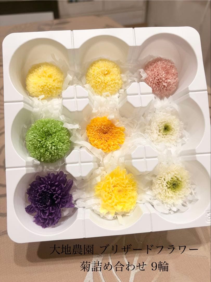 大地農園〜他花材、アレンジ雑貨まとめ売り☆赤字覚悟の出品です‼️
