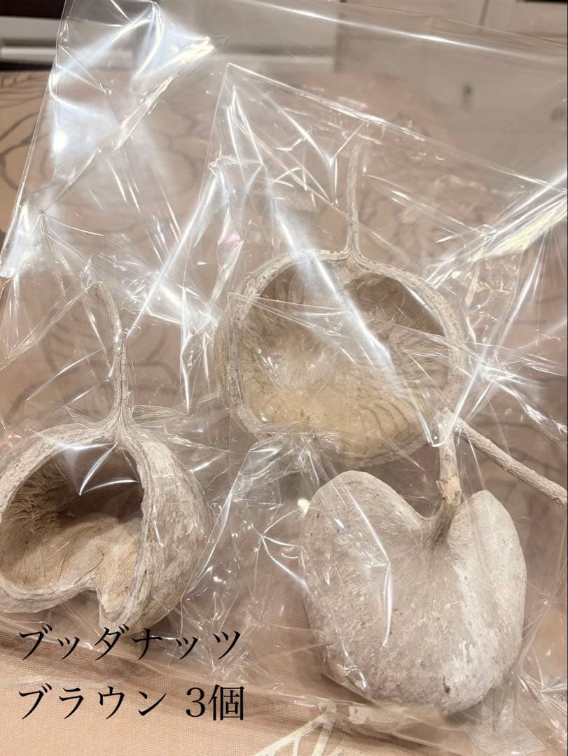 大地農園〜他花材、アレンジ雑貨まとめ売り☆赤字覚悟の出品です‼️