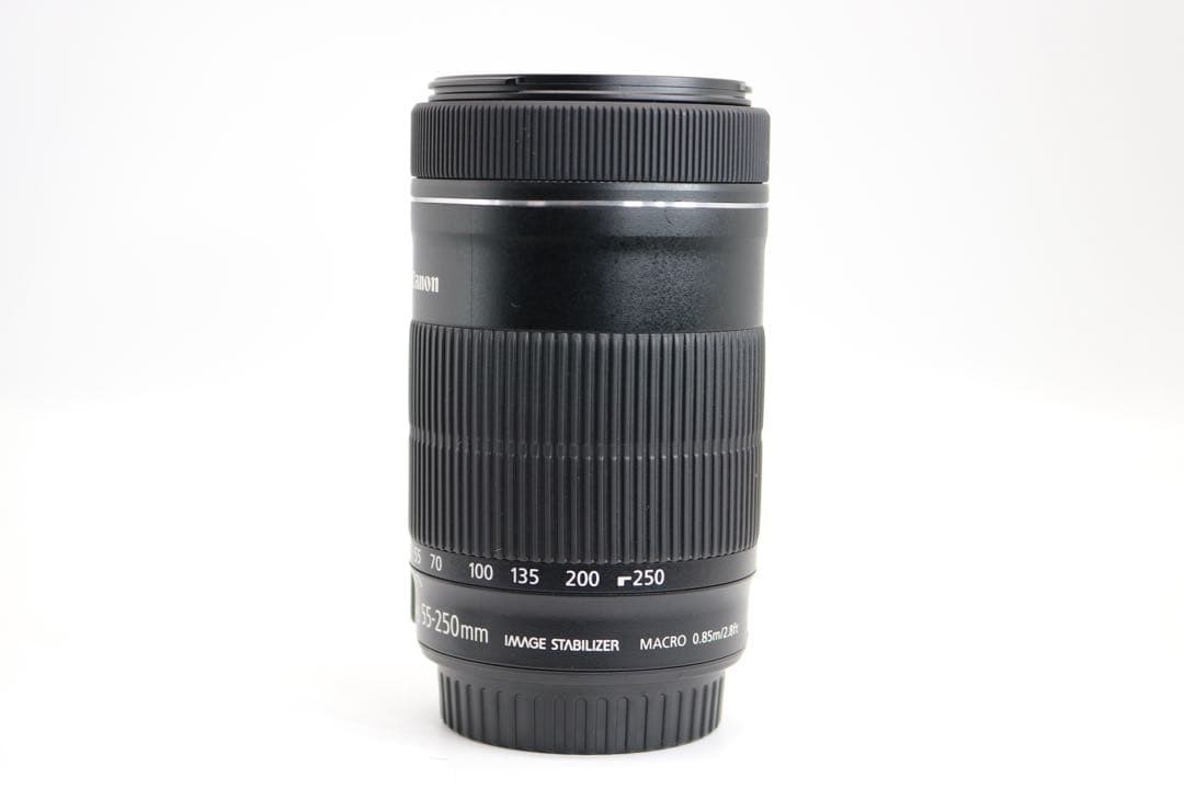 超美品 【Canon EF-S 55-250mm F4-5.6 IS STM】