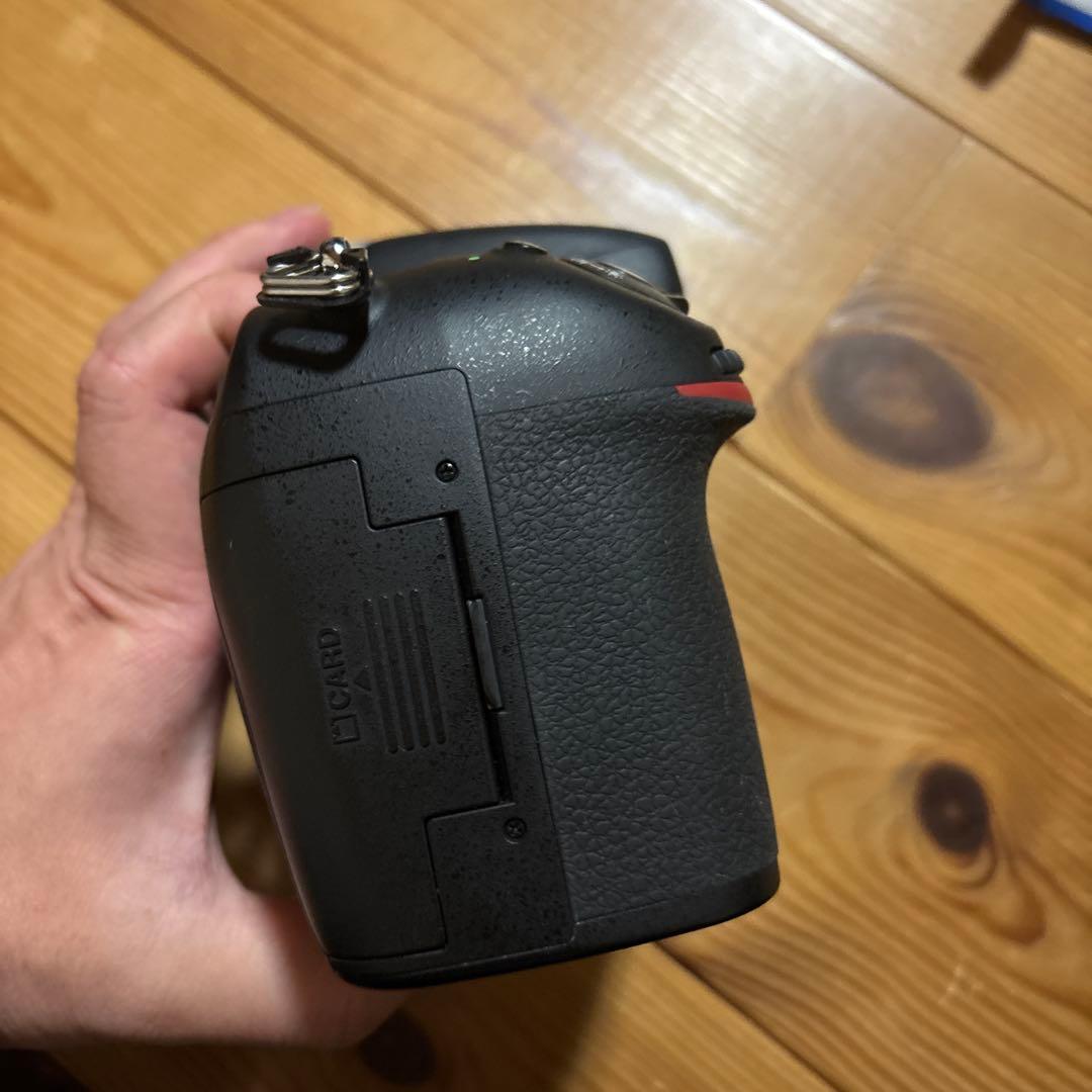 Nikon D800 ボディ 美品