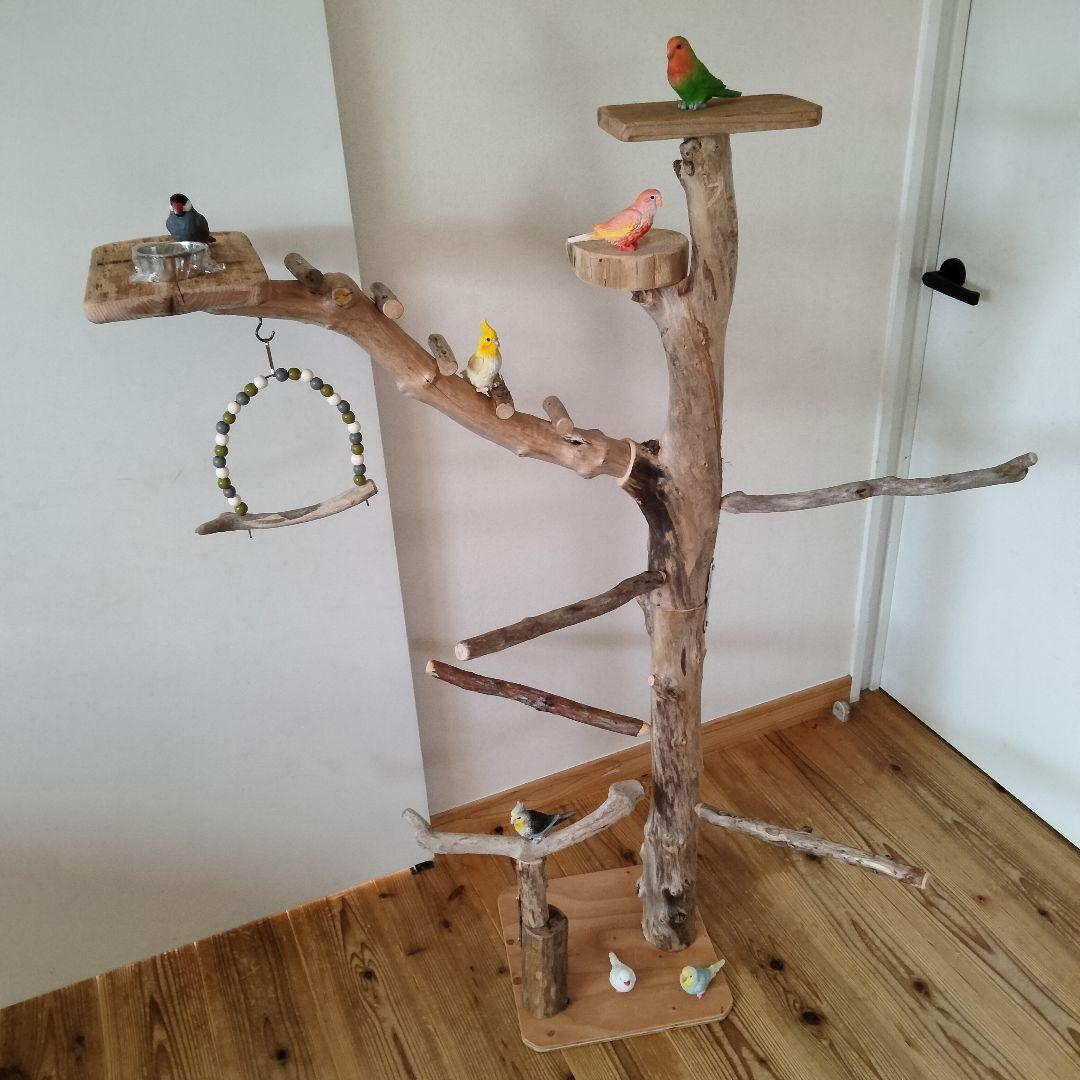 ocean バードアスレチックジム 天然木 自然木 流木 止まり木 インコ