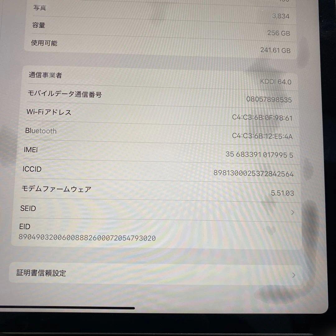 iPad本体 グレー カバー付き