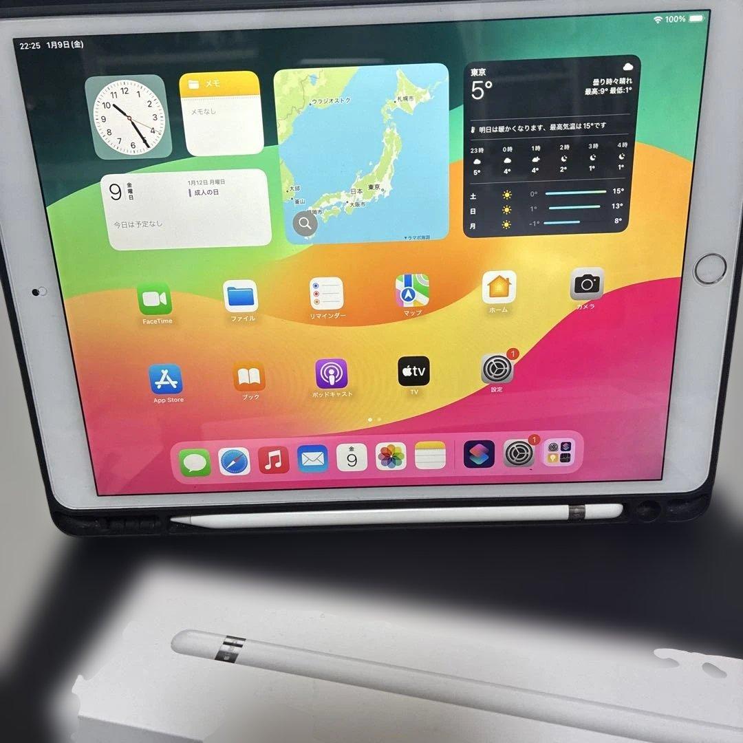 ジャンク★iPad Pro 10.5インチ 256GB/Appleペンシル付き