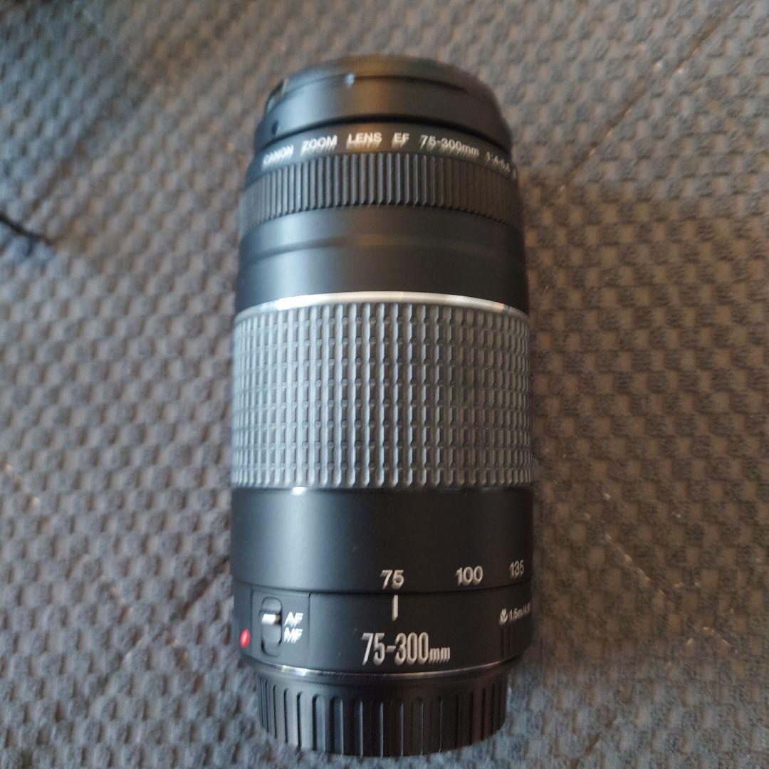 Canon EOS Kiss Digital X 本体とレンズ2本 動作確認済