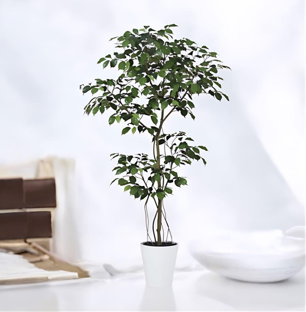 光触媒　人工観葉植物　フェイクグリーン　ベンジャミン150FST