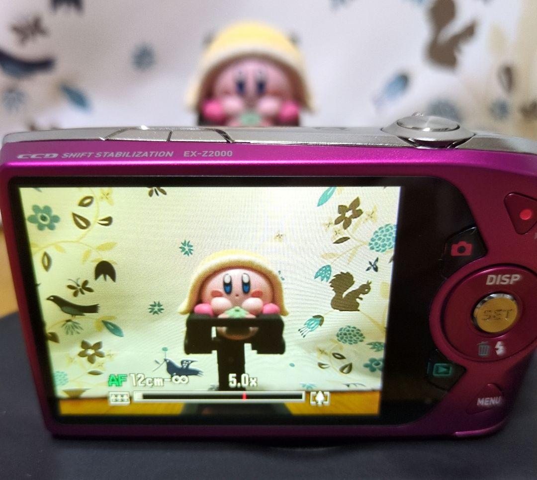 【美品】CASIO EXILIM EX-Z2000 コンパクトデジタルカメラ