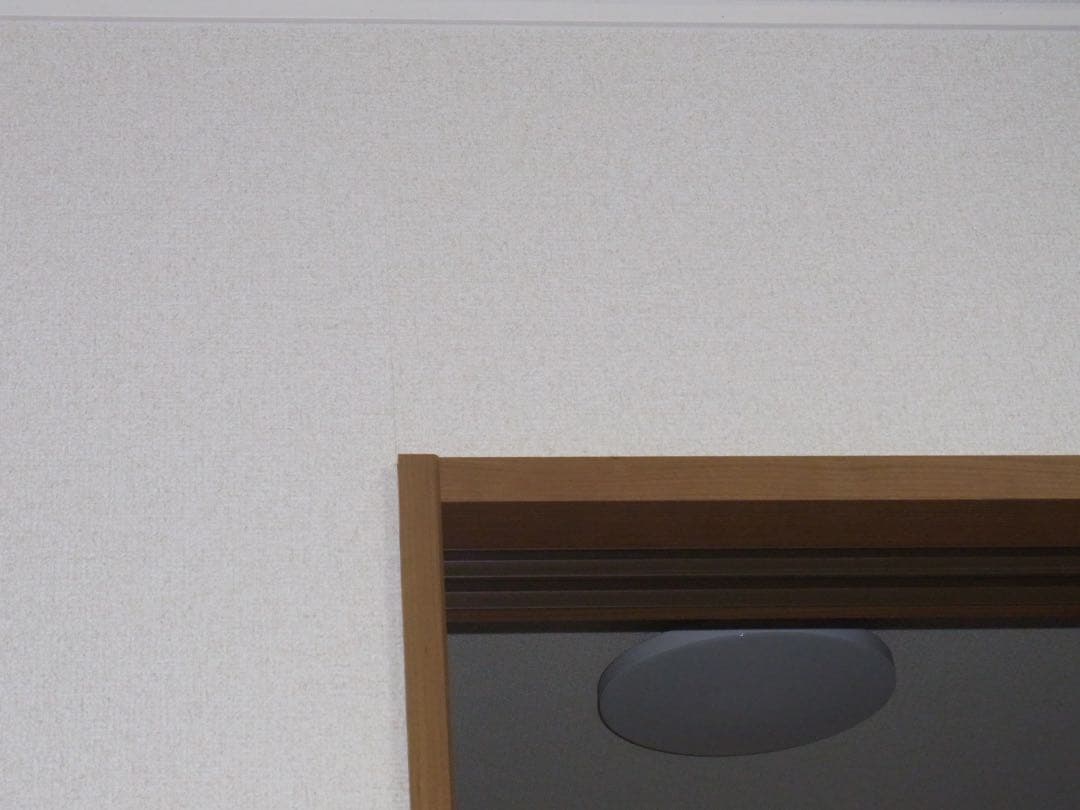 【オールドコンデジ】 RICOH CX2