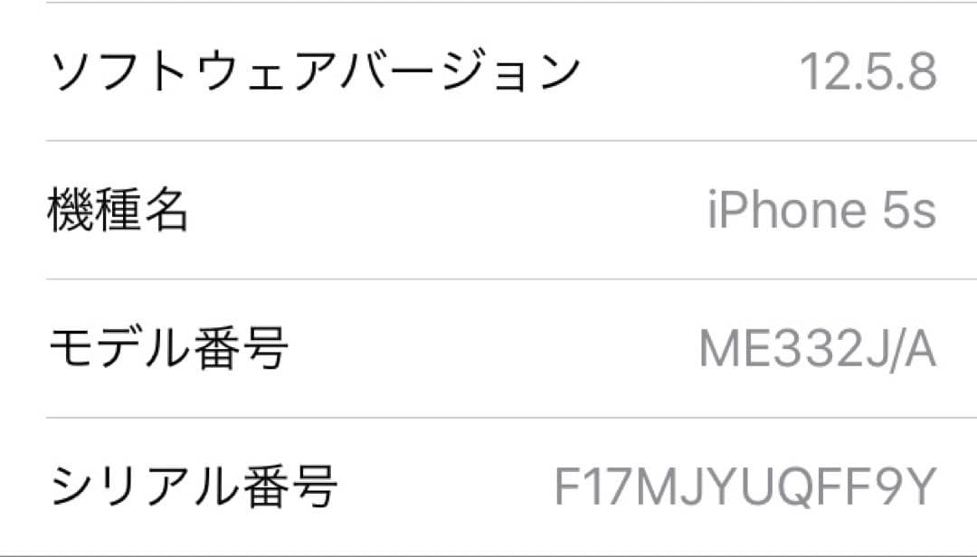 Apple iPhone 5s 16GB スペースグレイ①