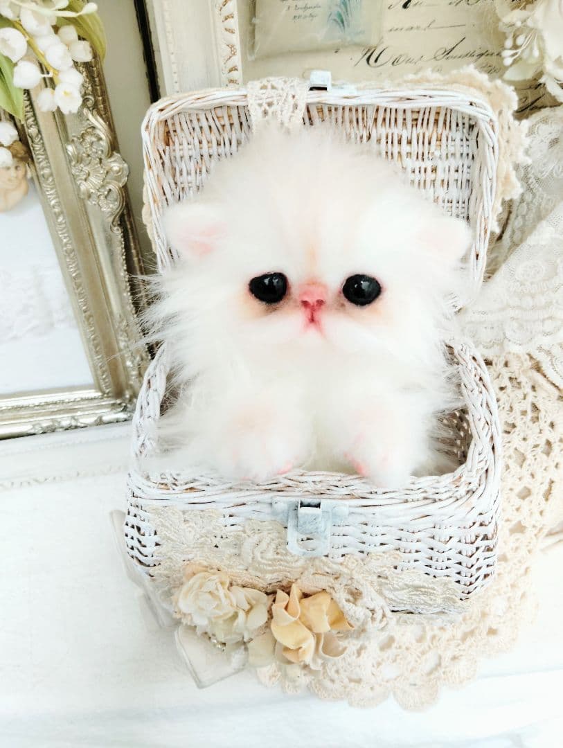 エキゾチック♡子猫のぷんちゃん♡アートドール♡ぬいぐるみ♡