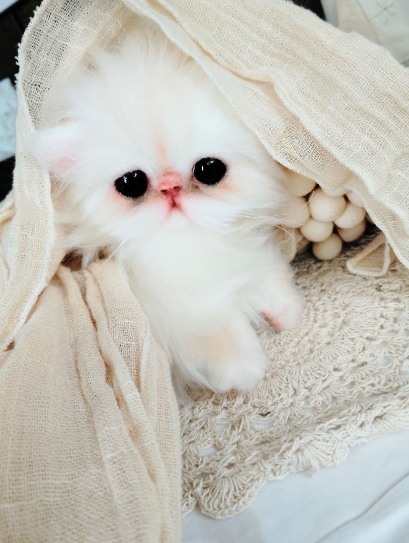 エキゾチック♡子猫のぷんちゃん♡アートドール♡ぬいぐるみ♡