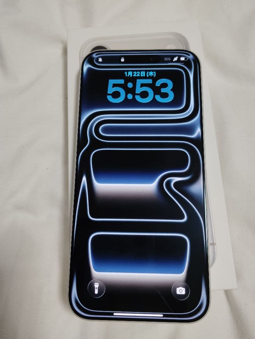 Apple iPhone シルバー 本体