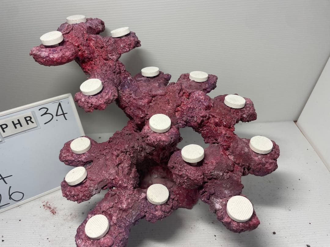 【送料無料】人工ライブロック　PHR34／15穴加工　アク抜き済み安心塗料使用